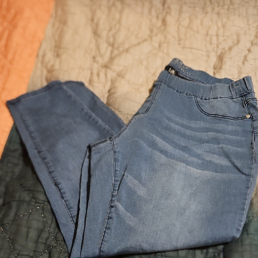 Ashley Stewart ICONIC Blue Women's Jeggings- Short Length